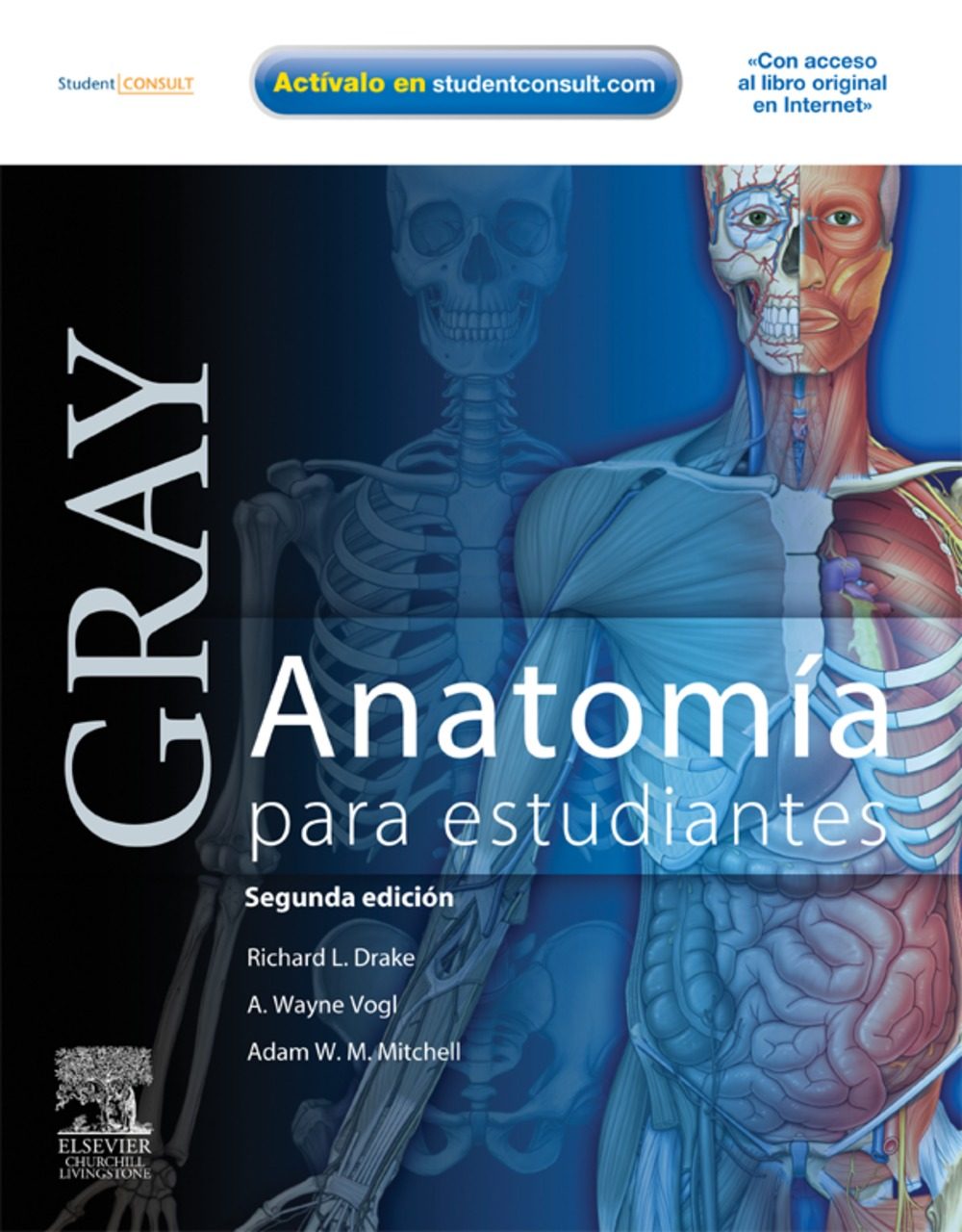 Gray anatomia para estudiantes 2da edicion pdf gratis